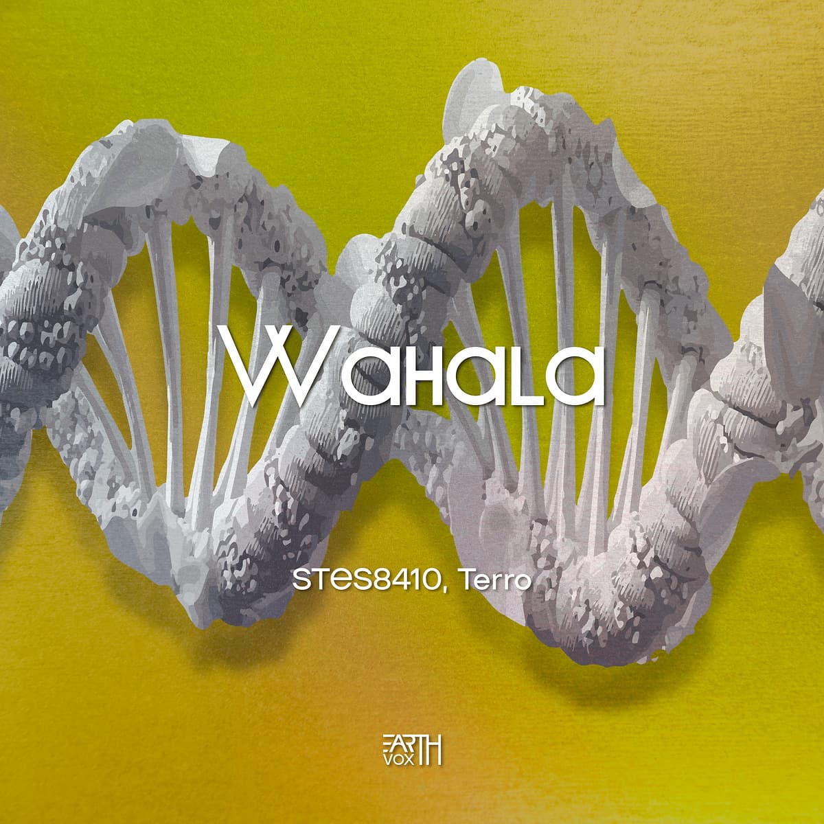 STES8410, Terro - Wahala